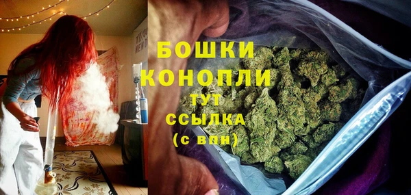 стаф Пестово