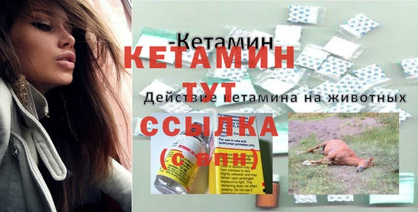 стаф Пестово