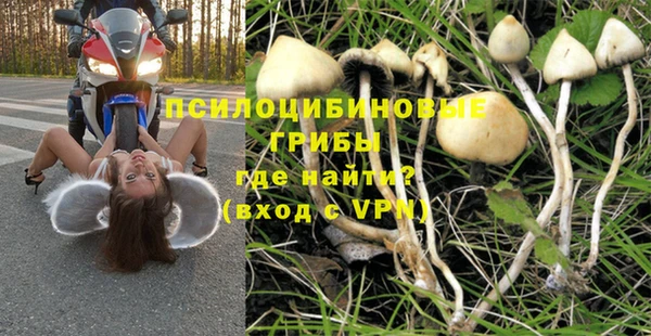 apvp Пересвет